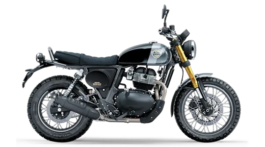 Bear 650