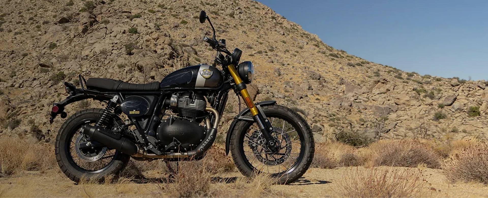 Bear 650