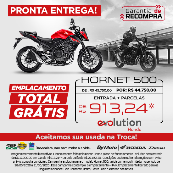 banner Hornet 500