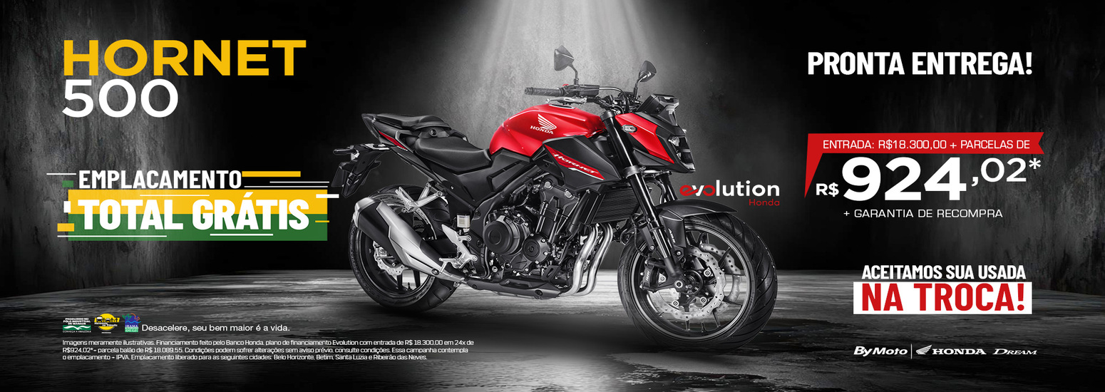 banner HORNET 500