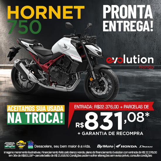 banner HORNET 750