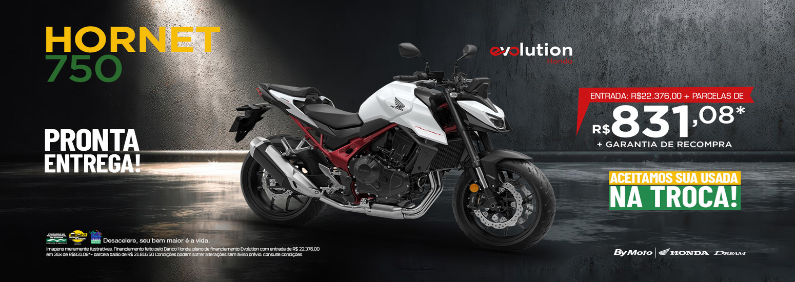 banner HORNET 750