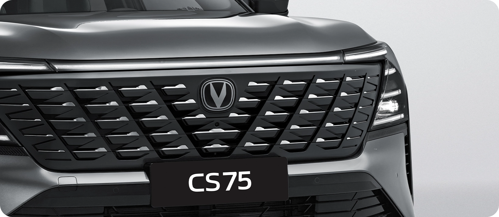Smart Front Grille