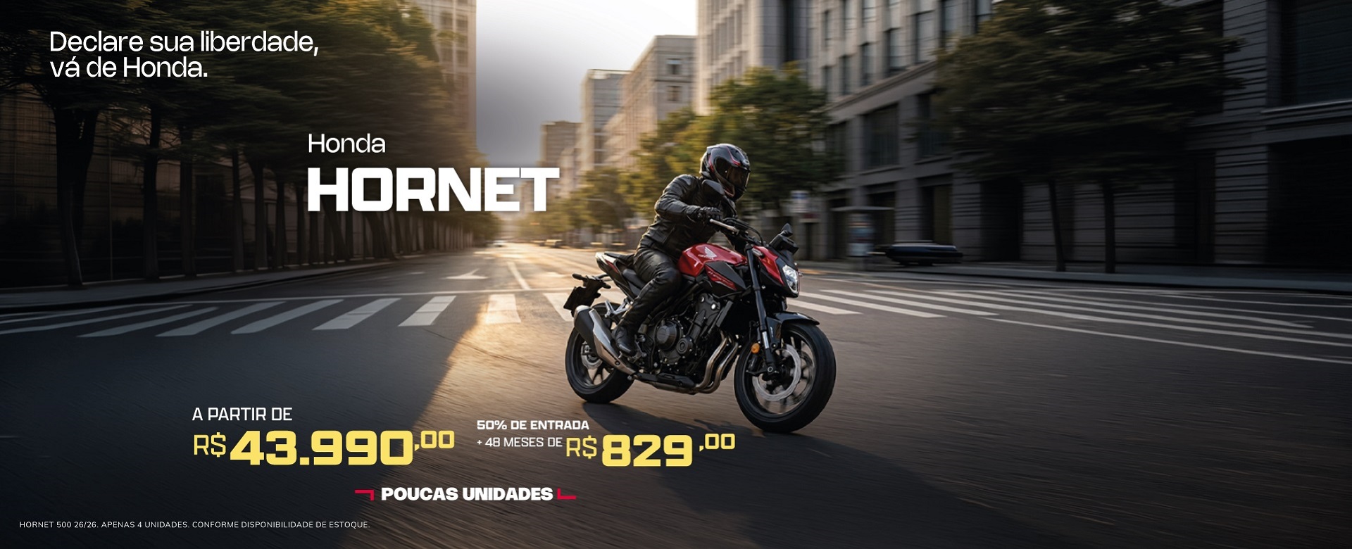 banner hornet - junho/26