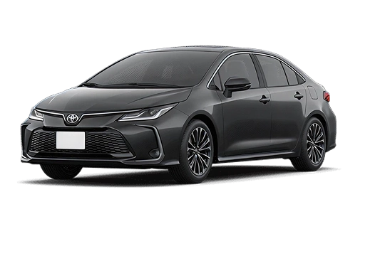 Altis Premium Cinza Granito
