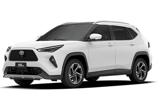 XRX Branco Polar