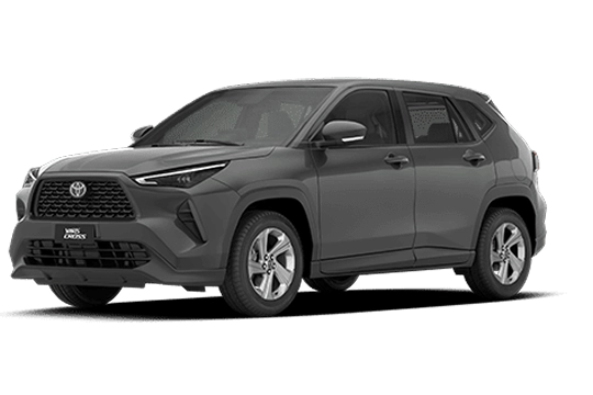 XR Cinza Granito