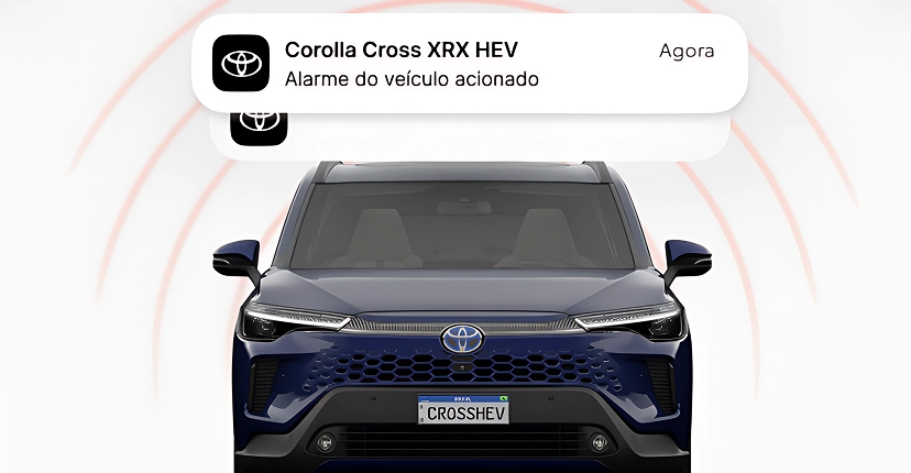 CONECTIVIDADE