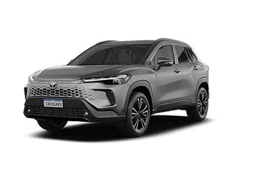XRX Cinza Granito