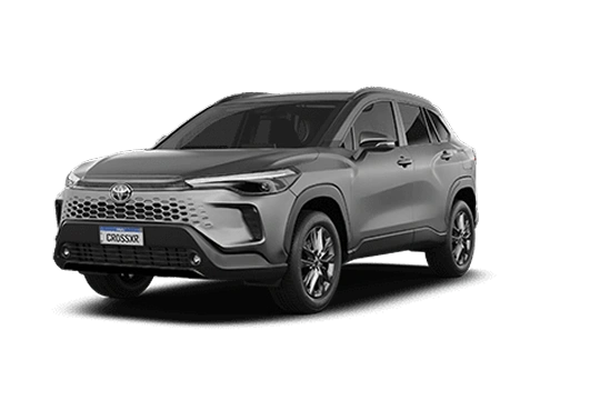 XR Cinza Granito