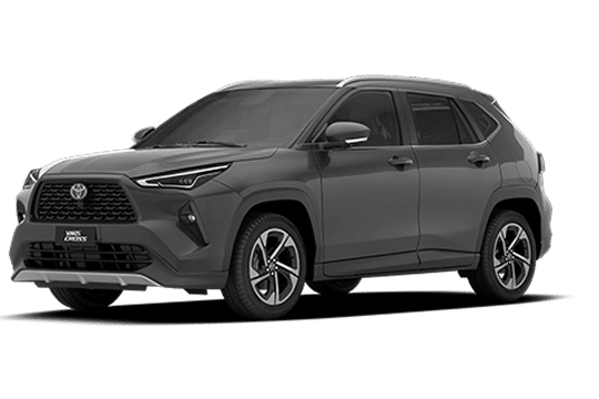XRX Cinza Granito