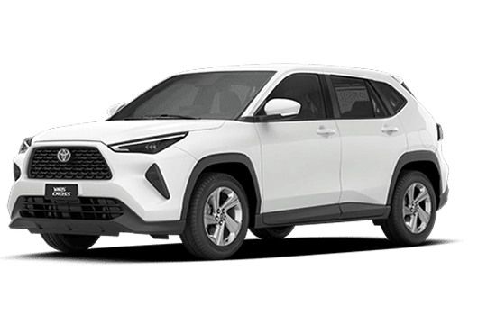 XR Branco Polar