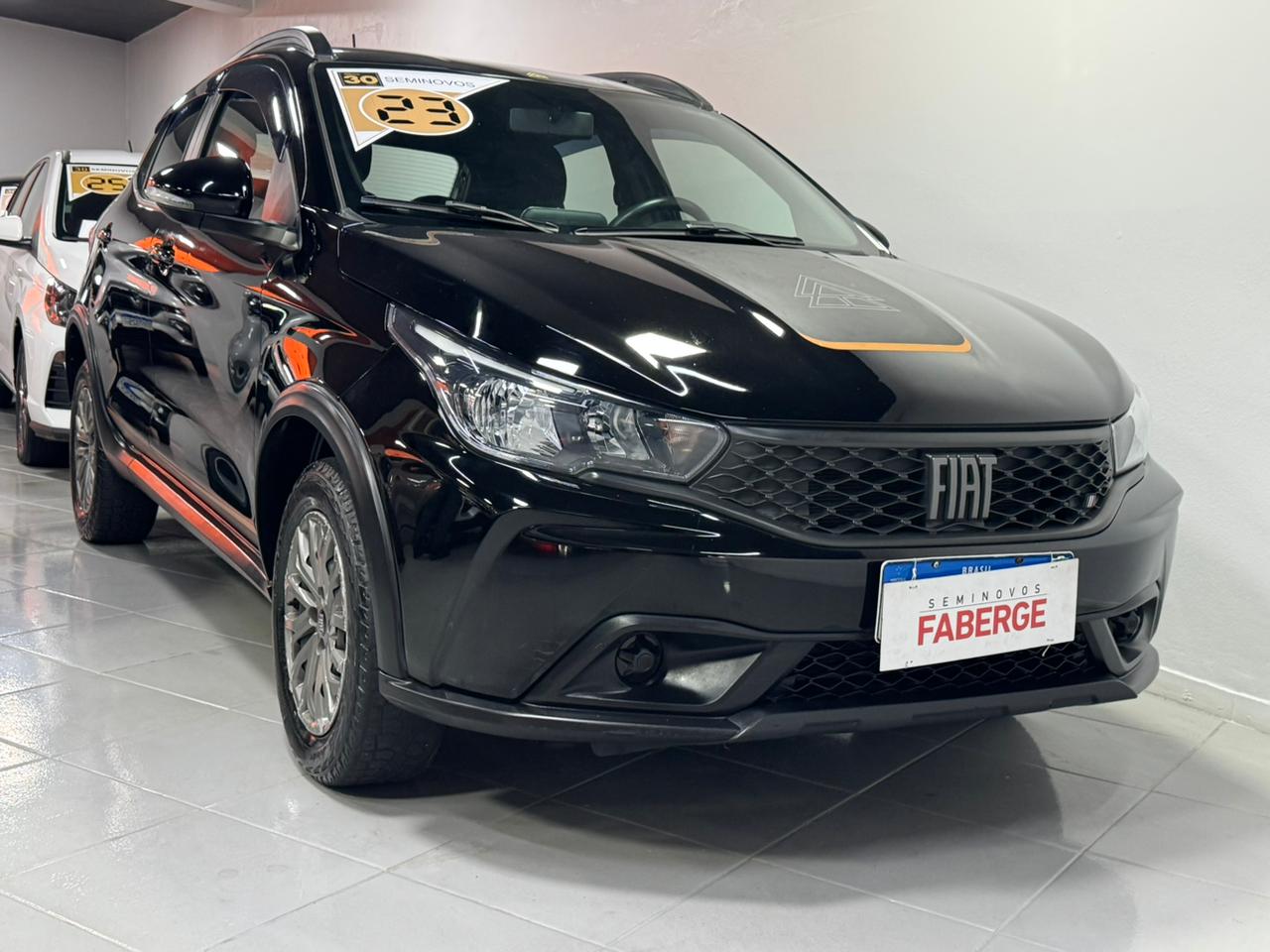 ARGO TREKKING 1.3 8V Flex
