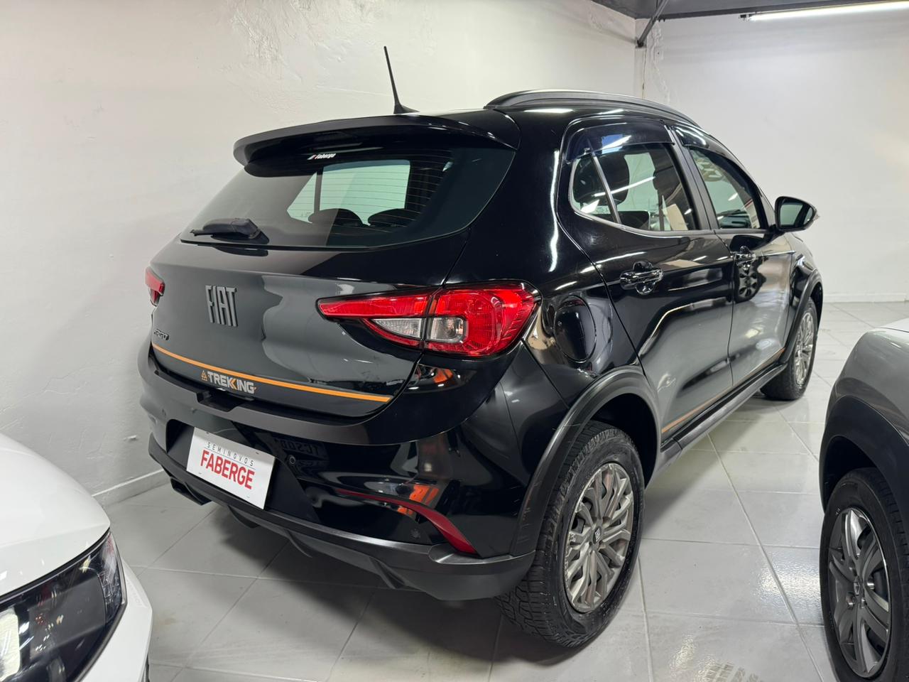 Fiat-ARGO-ARGO TREKKING 1.3 8V Flex