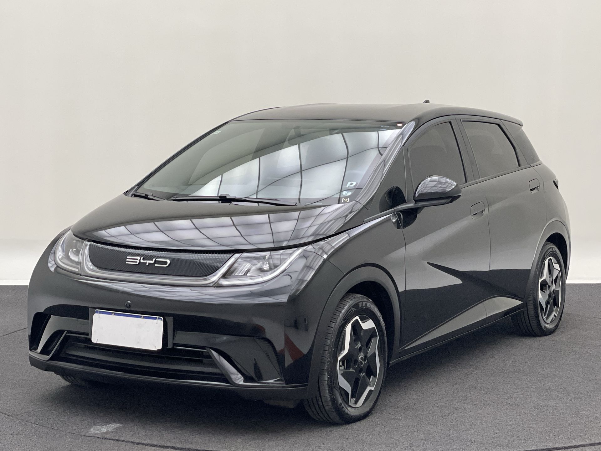 Dolphin EV (Elétrico)