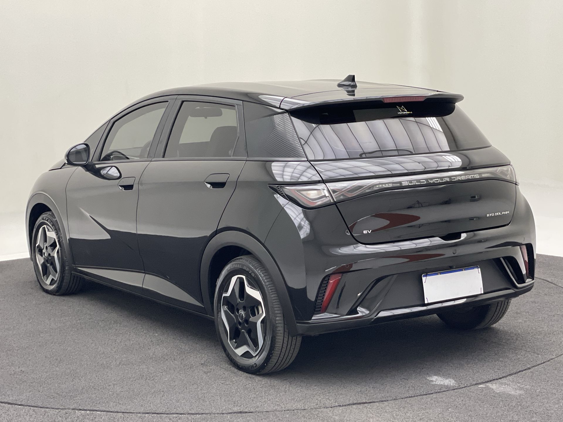 Dolphin EV (Elétrico)