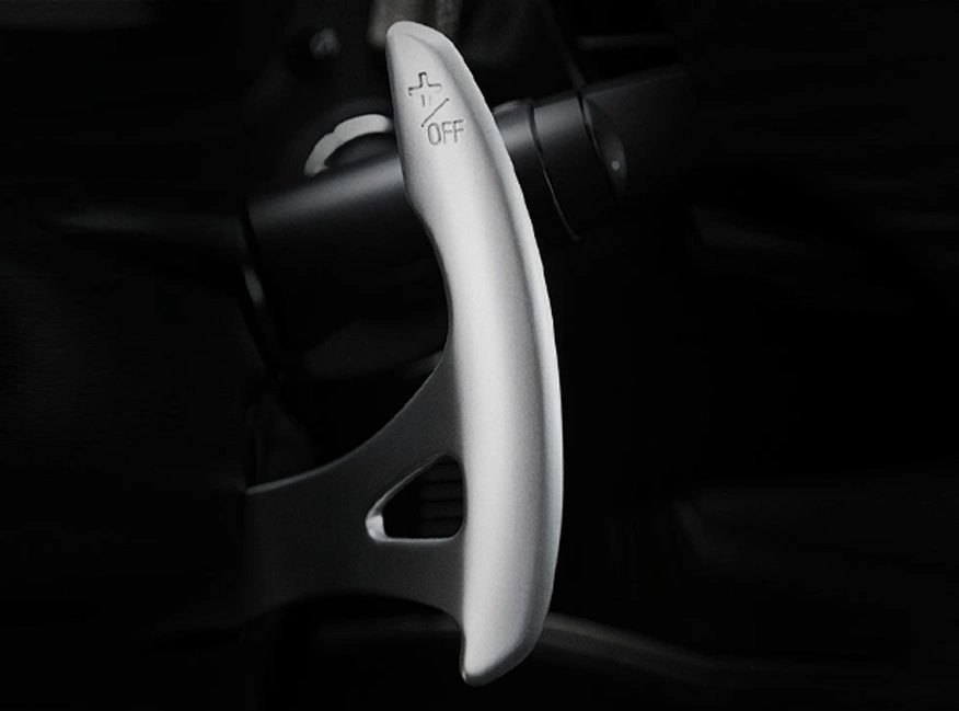 PADDLE SHIFTERS