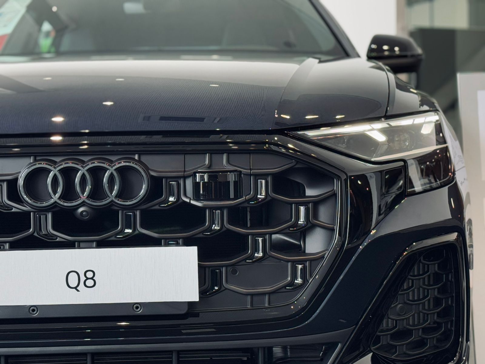 Audi-Q8-Q8 Perf.Black 3.0 TFSI Quat. S-tr/(Híb.)