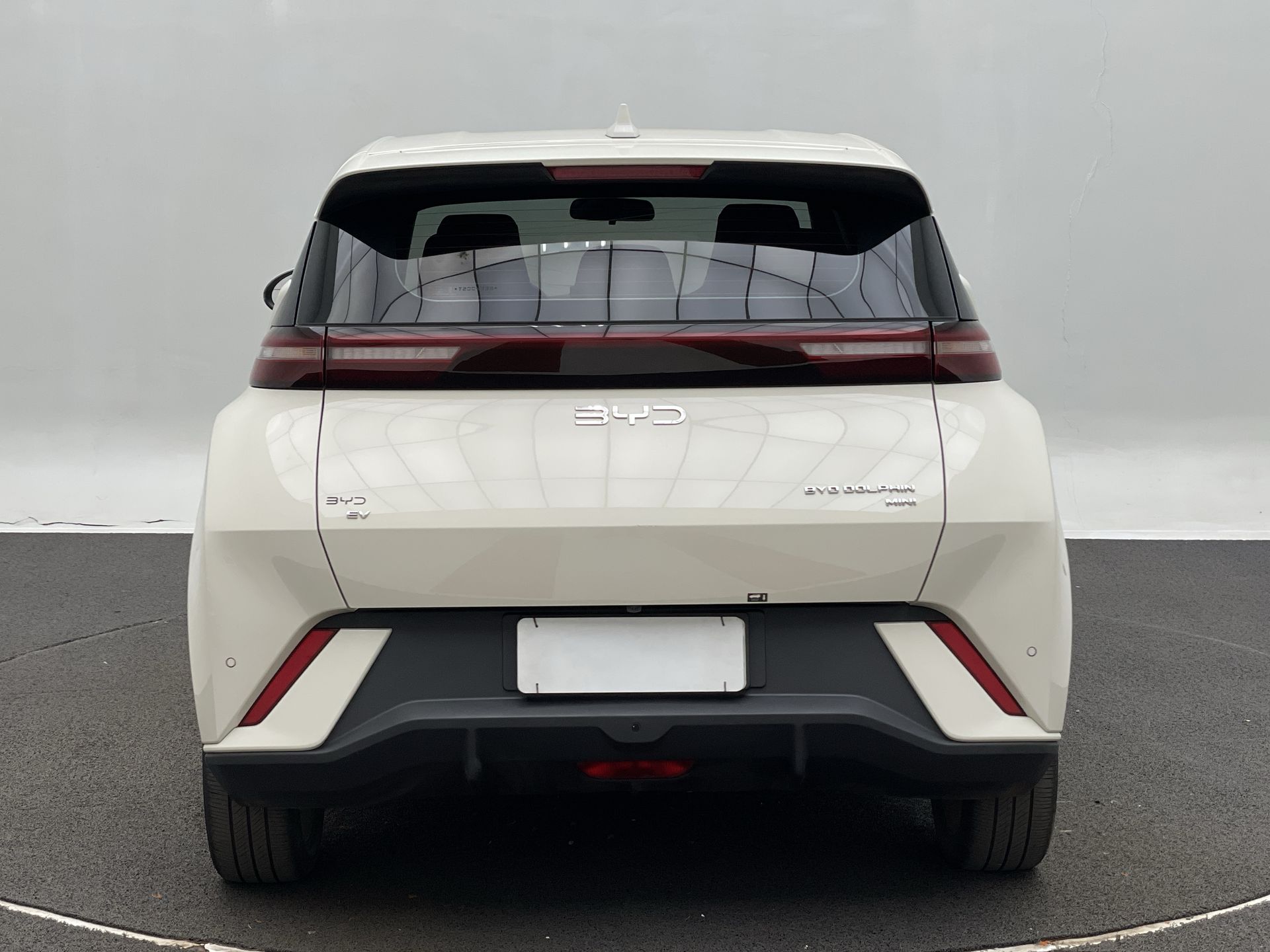 Dolphin Mini (Elétrico)