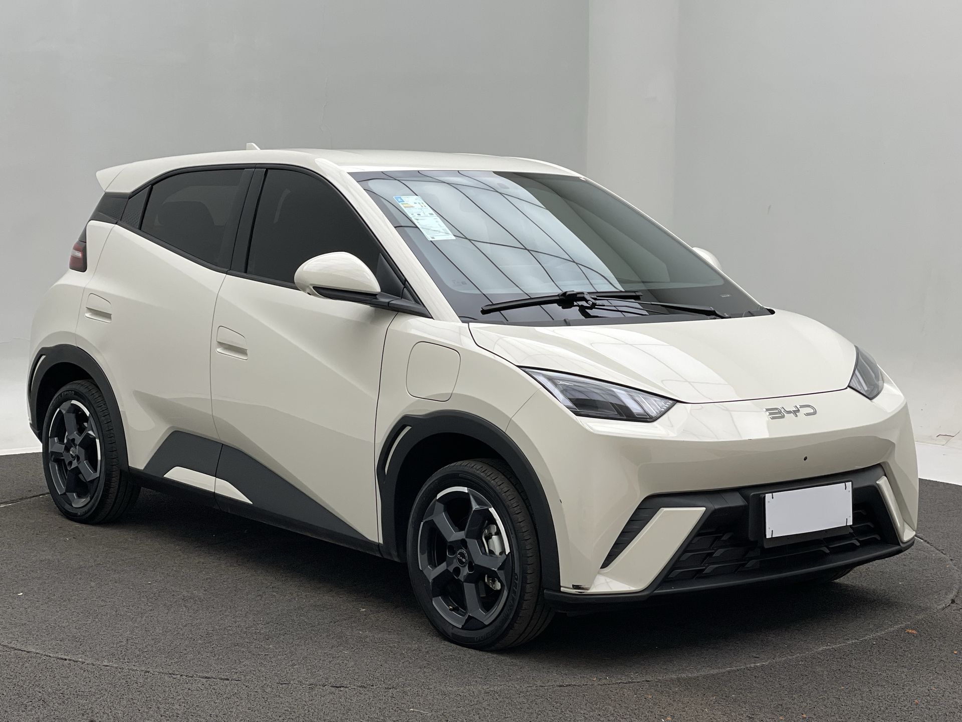 BYD-Dolphin-Dolphin Mini (Elétrico)
