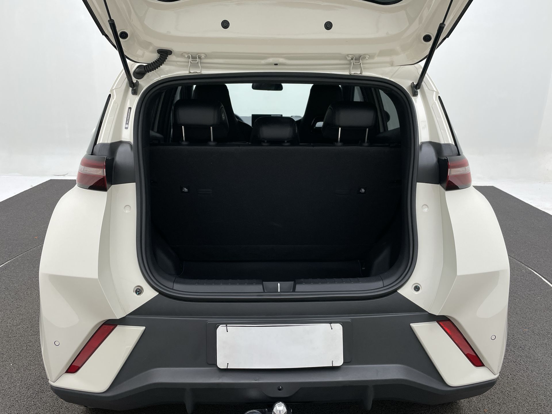BYD-Dolphin-Dolphin Mini (Elétrico)
