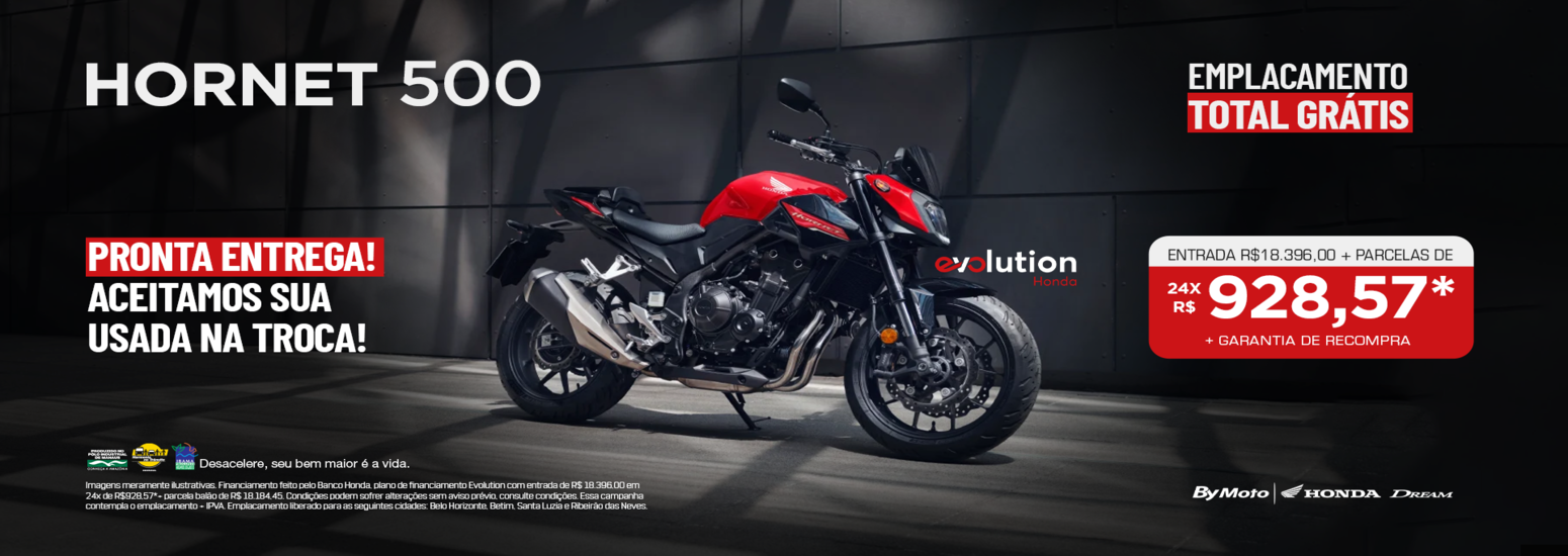 banner HORNET 500