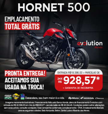banner HORNET 500