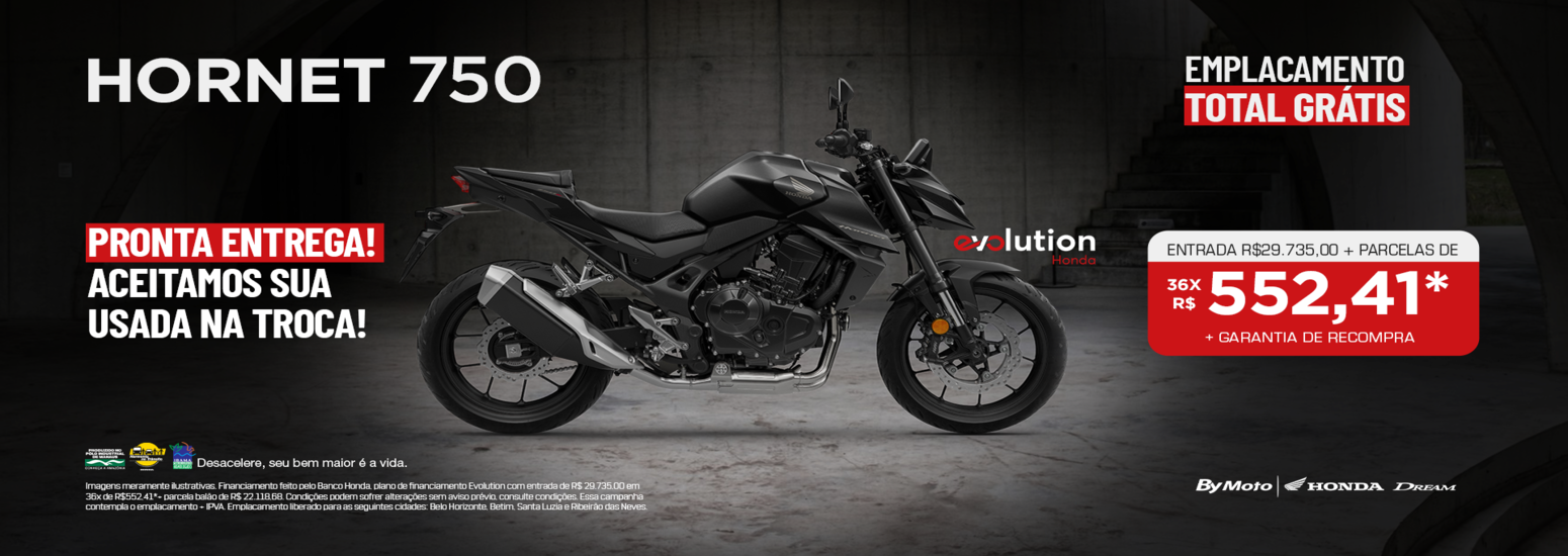 banner HORNET 750