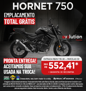 banner HORNET 750