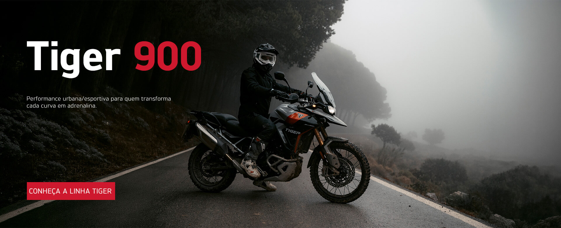 banner produto tiger 900